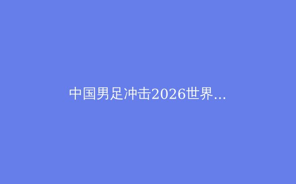 中国男足冲击2026世界杯：归化球员的成效与挑战 - 3